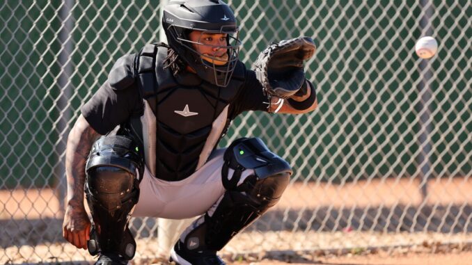Chicago White Sox Workout